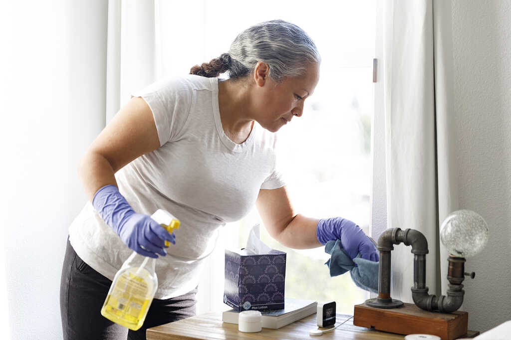 Professional cleaner